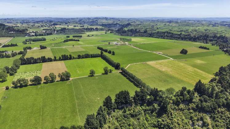 519 Main South Road Rangiwahia_23