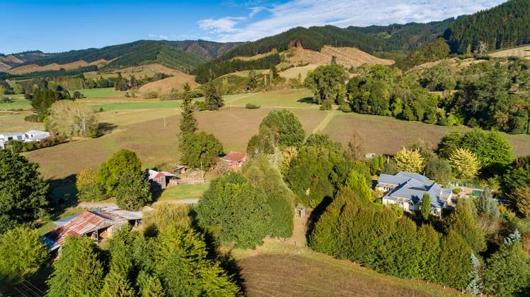 254 Kohatu-Kawatiri Highway Kahurangi National Park_23