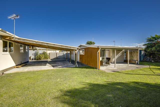 17 Rochester Street Tamatea_3