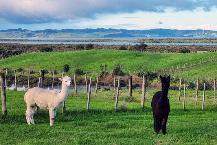 68D Tuparekura Road, South Head Helensville_11