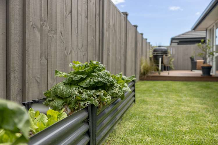 63 Montiicola Drive Papamoa_34