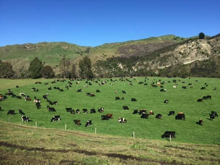 1015 Waitara Road Te Haroto_36