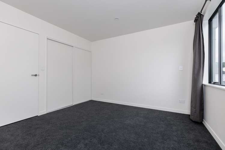 27 Ara Paiwhenua Tawa_10