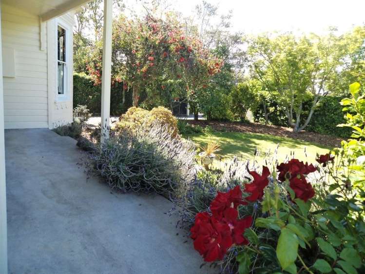 117 Cole Street Masterton_12