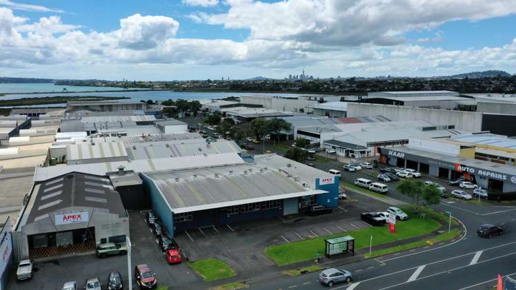 367 Rosebank Road Avondale_5