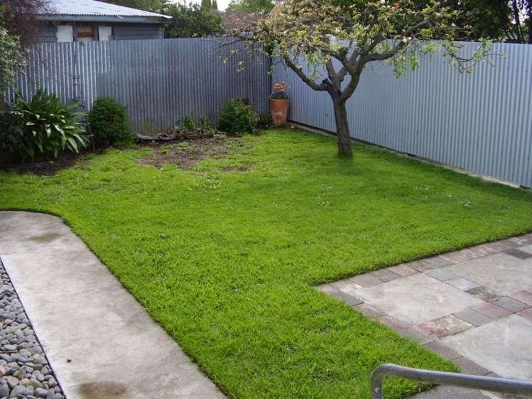 38 Fleming Crescent Maraenui_6