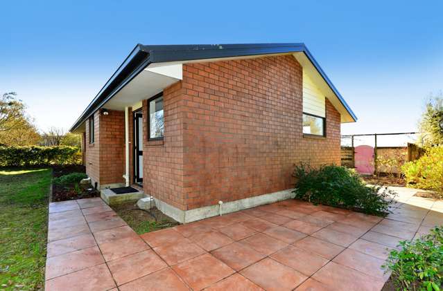 168 Timber Yard Road Leeston_3