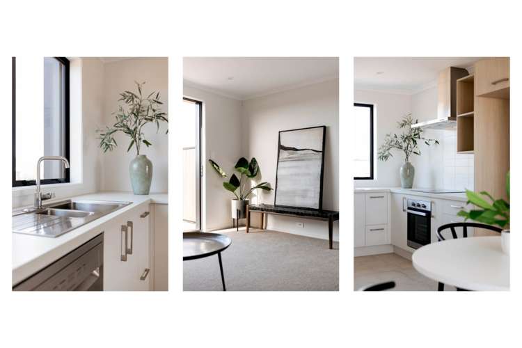 5 Te Ara Tanekaha Omokoroa_6