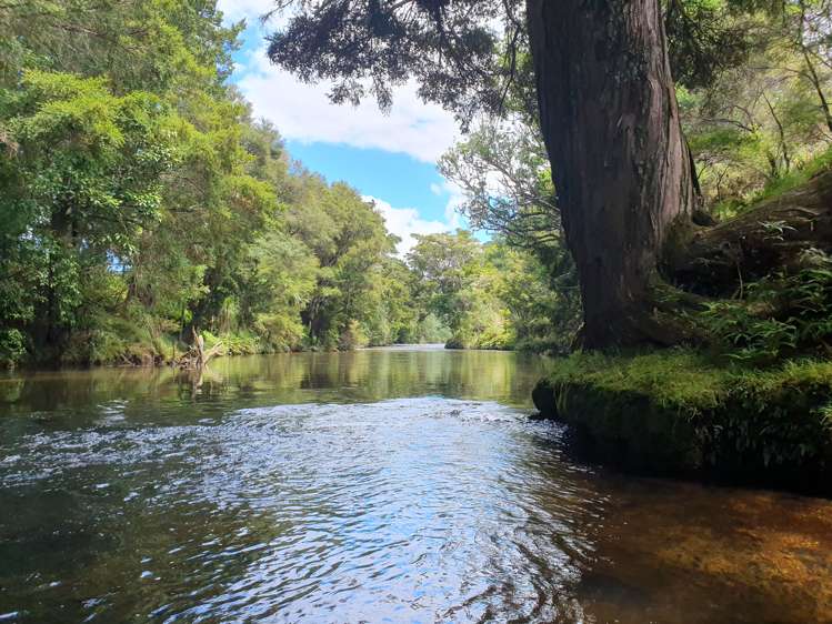 119 Waitotara Drive Kerikeri Surrounds_19
