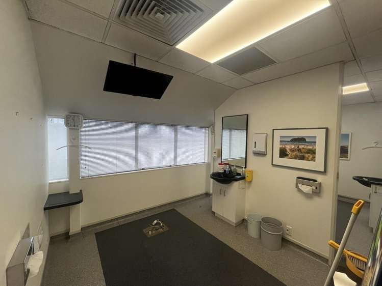 3 Ely Avenue Remuera_5