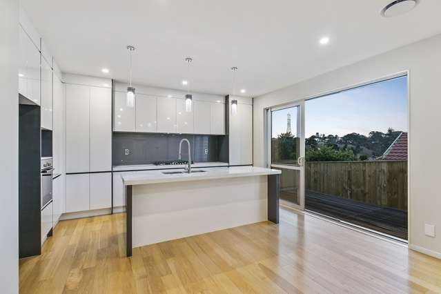 74b Carlton Street Hillsborough_3