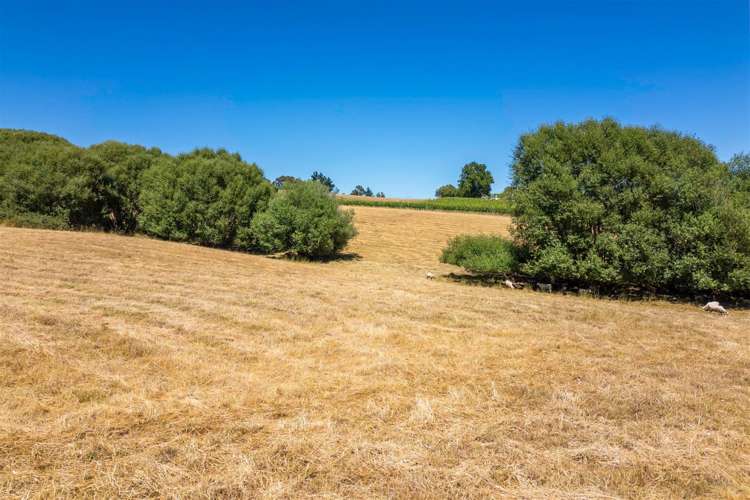 50 Cliff Road Tasman_14