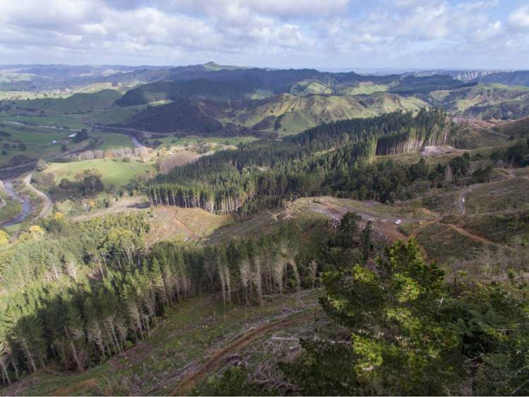 15 State Highway 49 Ohakune_11