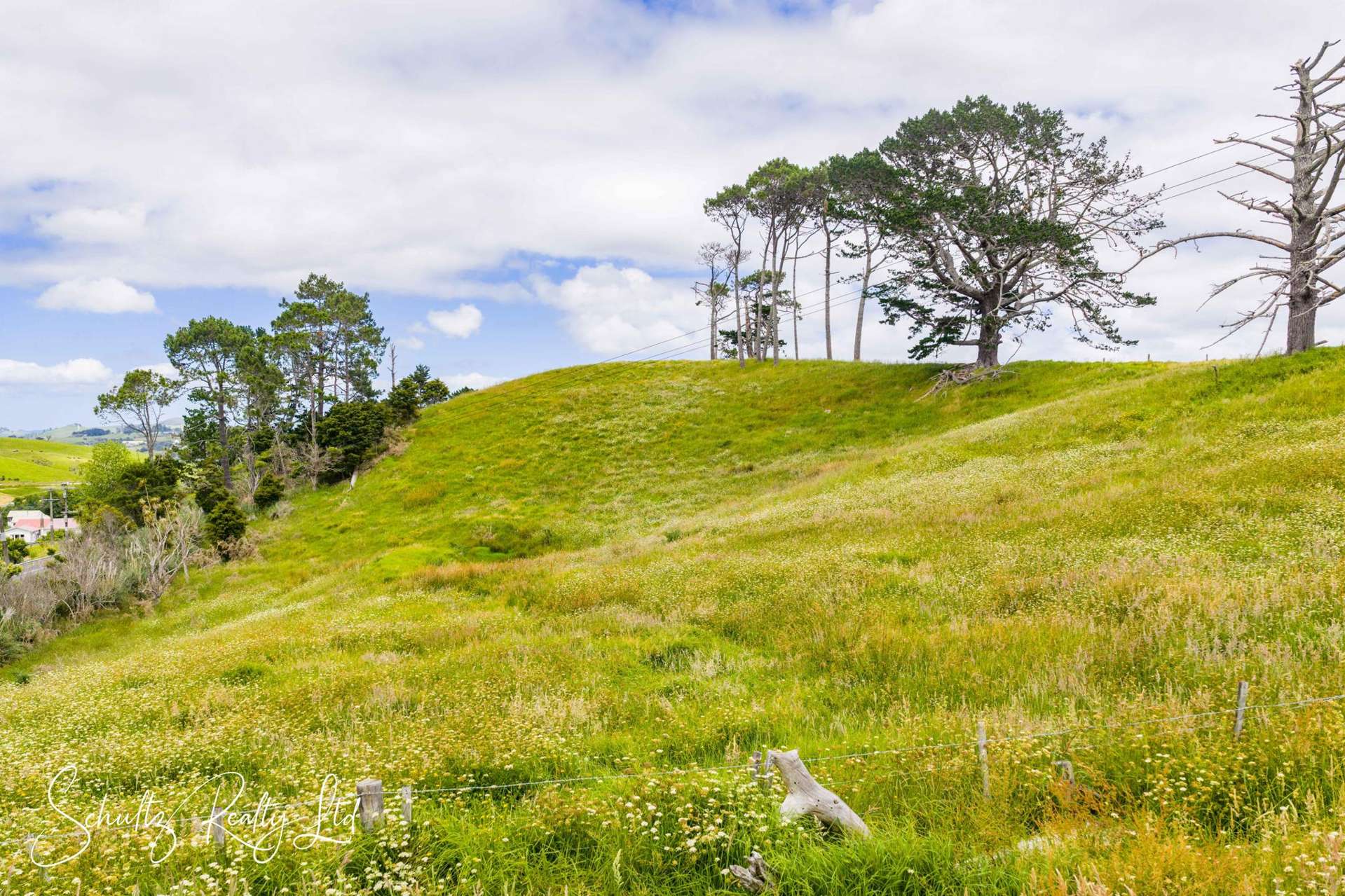 Wearmouth Road Paparoa_0