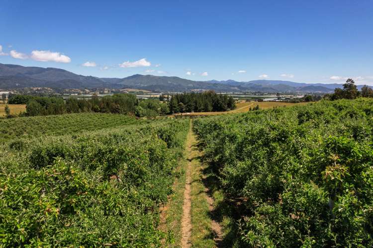 5 Lindup Road Lower Moutere_22