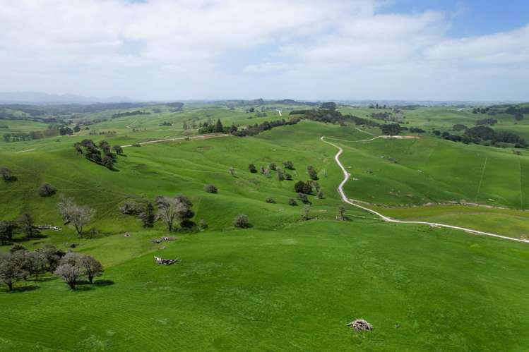 3050 Mititai Road Dargaville_16