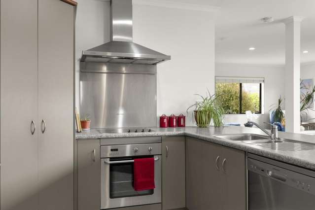 19 Palm Springs Boulevard Papamoa_1