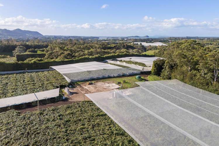 416 State Highway 2 Katikati_4