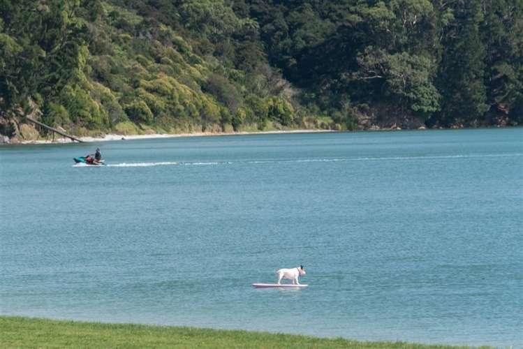 1477 Clevedon Kawakawa Road Kawakawa Bay_19