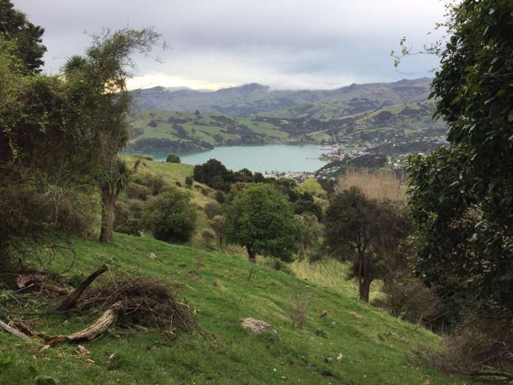 72b Aylmers Valley Road Akaroa_11