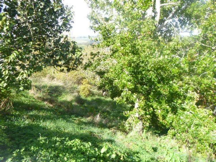 17 Hetet Street Te Kuiti_11