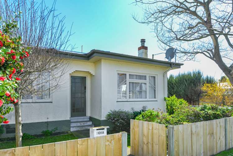 301a Willowpark Road South Hastings_9