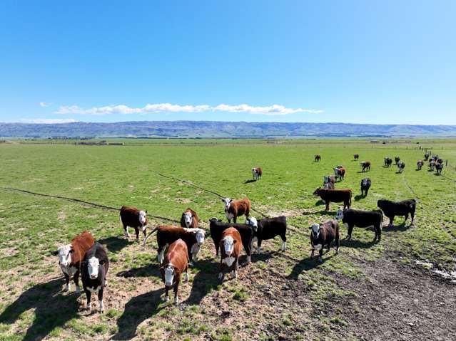 1586 Maniototo Road Patearoa_3