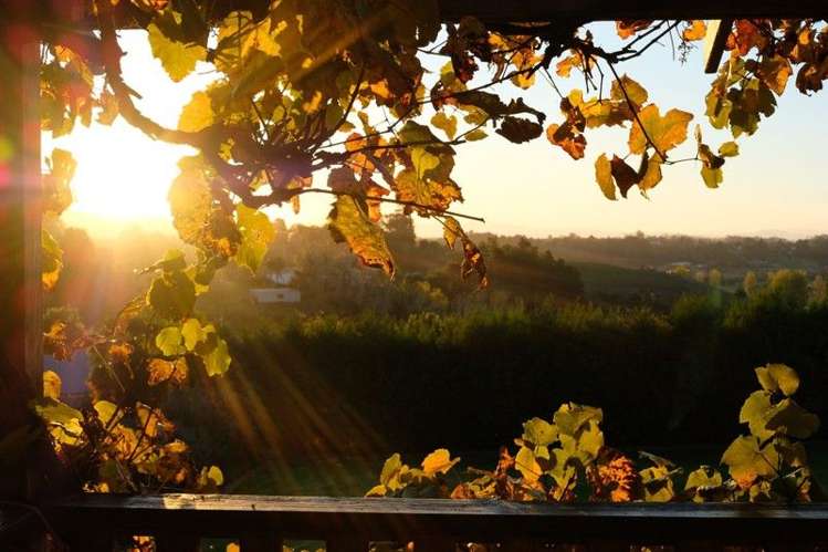 366 Cambridge Road Tauriko_40