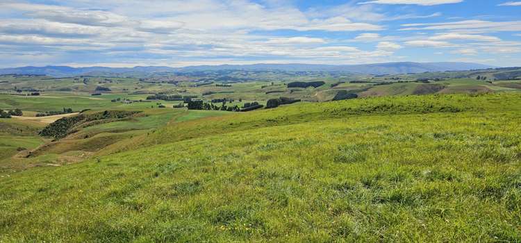 2230 Tapanui Raes Junction Highway Clutha_25