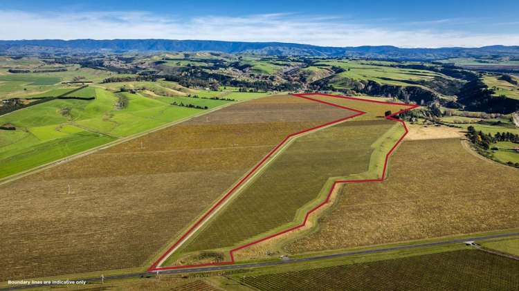 Colefield Vineyard, Aorangi Road Maraekakaho_11