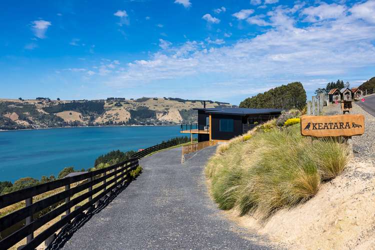 61 Kakapo Street Saint Leonards_27