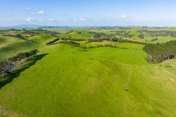 386 Rehutai Road Dargaville Surrounds_17
