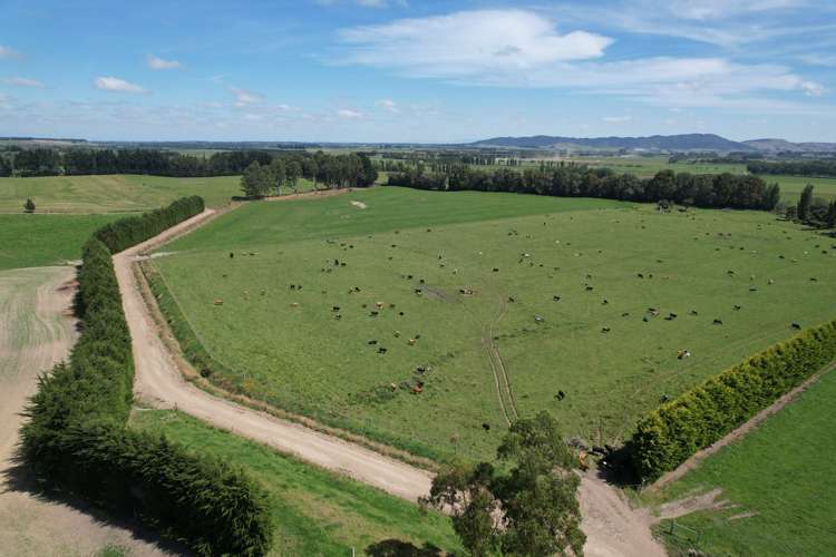 150 Hedgehope Block Road Hedgehope_2