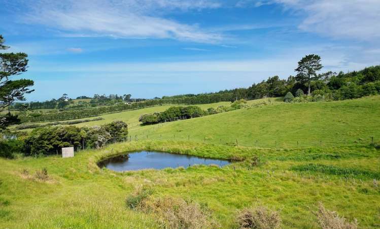 566 Blackbridge Road Waitoki_19