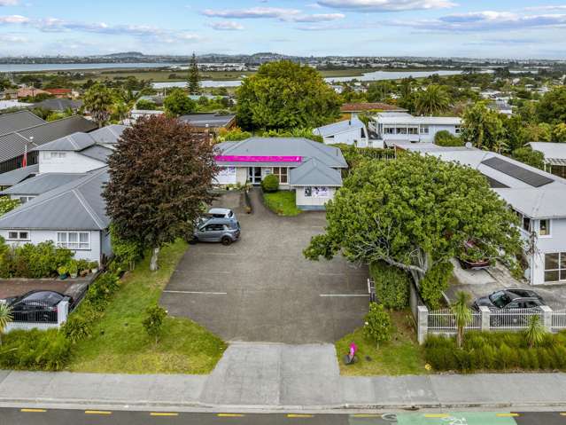 259 Te Atatu Road Te Atatu South_1