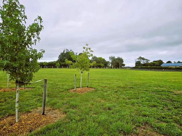 5 Arete Lane Levin_3