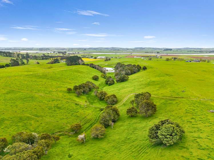 6320 State Highway 12 Arapohue Dargaville_12