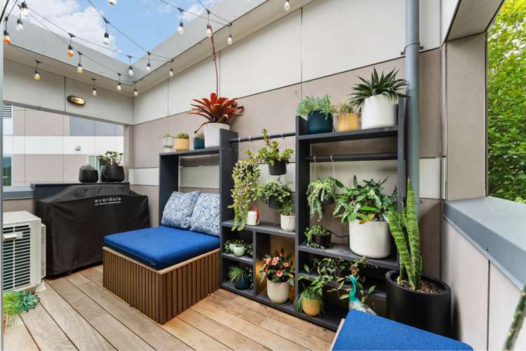 7/1A Picton Street Freemans Bay_1