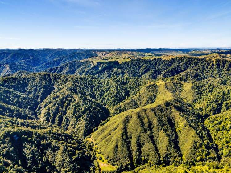 1870 Okau Road Urenui_12