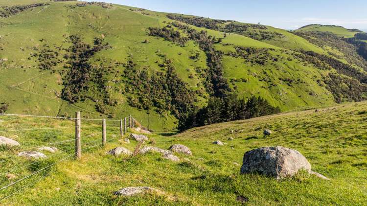 80-90 Seftons Road Little Akaloa_12