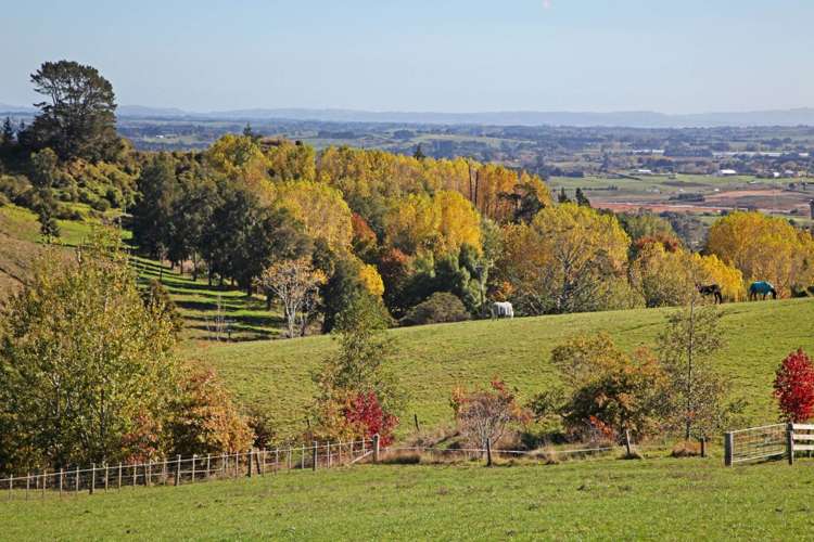 57 Otto Road Ramarama_21