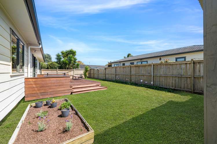 89b Ash Street Avondale_9