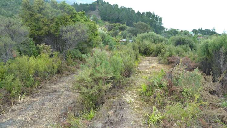 45 Otuturu Crescent Thames_10