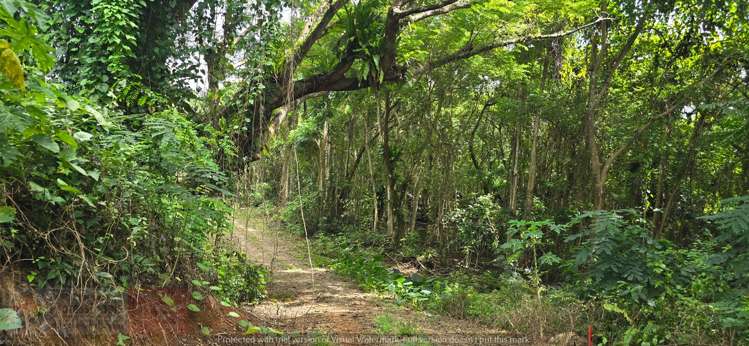 Address withheld Savusavu_29