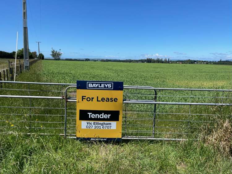 State Highway 50 Ongaonga_7