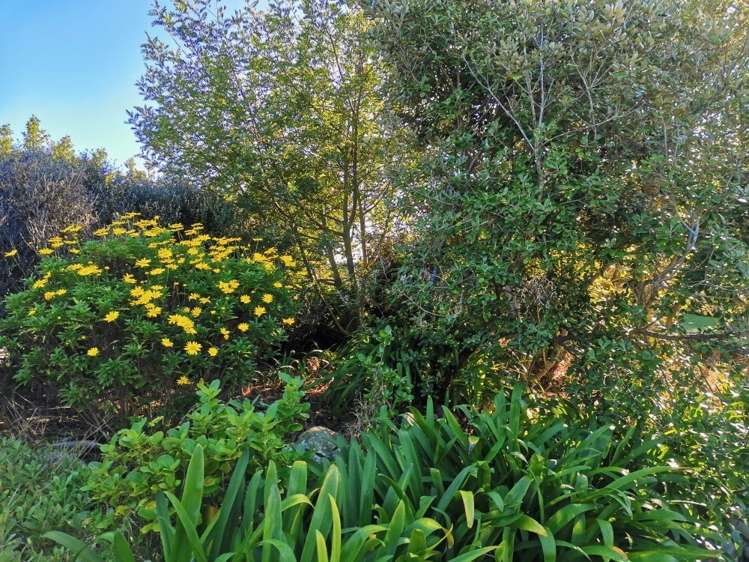 13 Sylvia Way Te Horo Beach_15