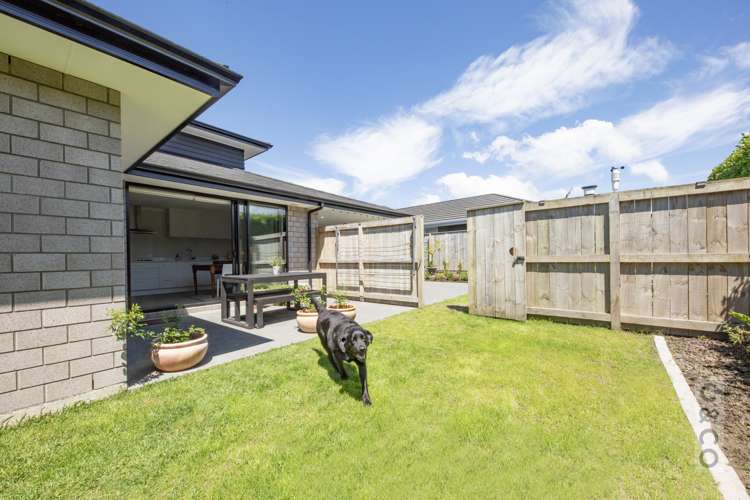 17 Pitoitoi Drive Riverhead_39