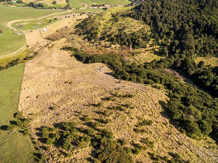 512 Orapiu Road Waiheke Island_8