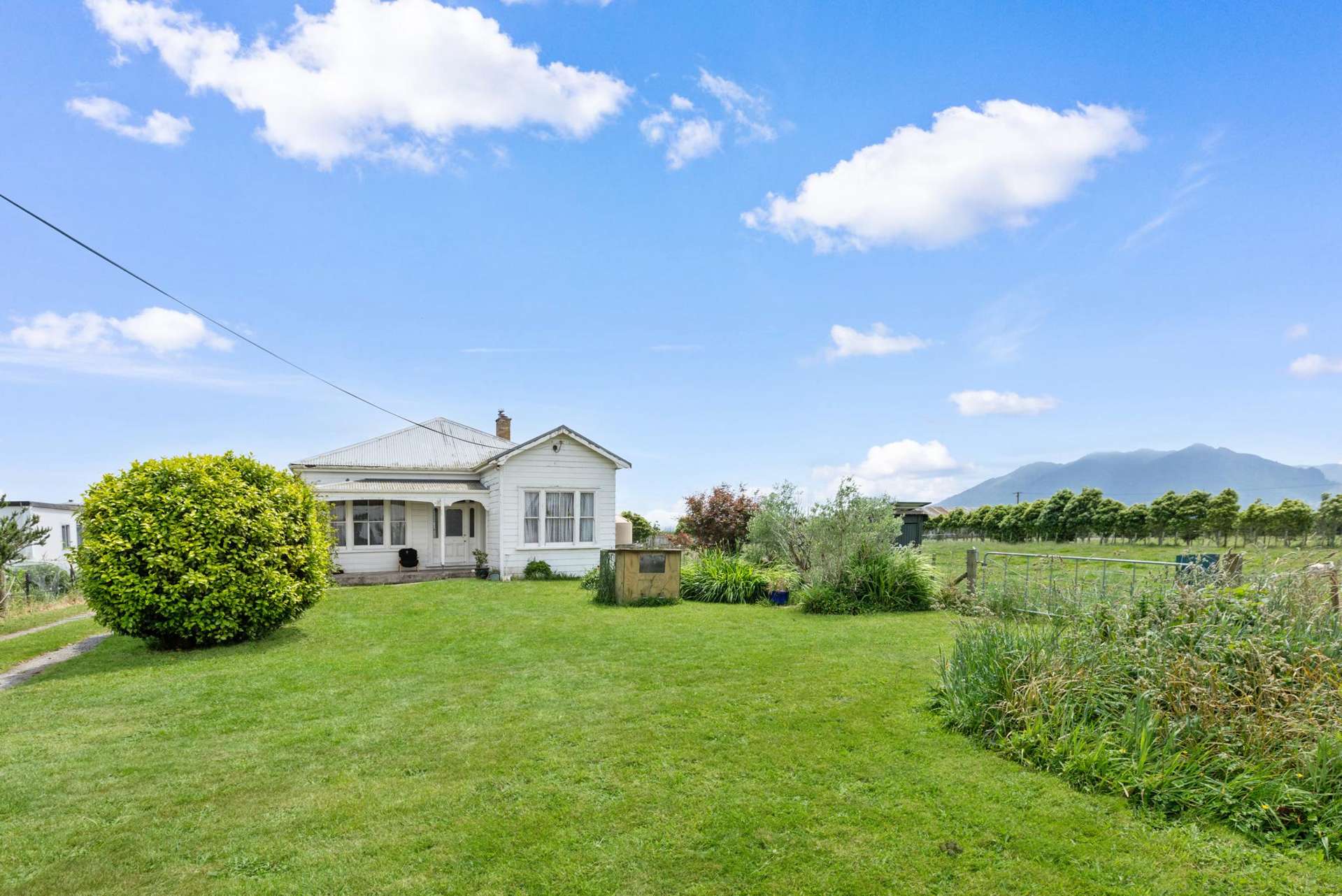 346 Waihekau Road Morrinsville_0