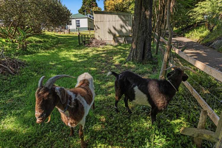 113 Hogg Road Rotoma_30